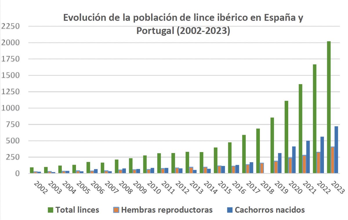 MaxCRoser's tweet photo. Good news from Spain and Portugal. 

Twenty years ago the Iberian Lynx was close to extinction with less than a hundred animals alive.

Thanks to the efforts of conservationists, the population has now increased substantially.

[data: https://t.co/iXodYtAnFM] https://t.co/jzCXmlgnha