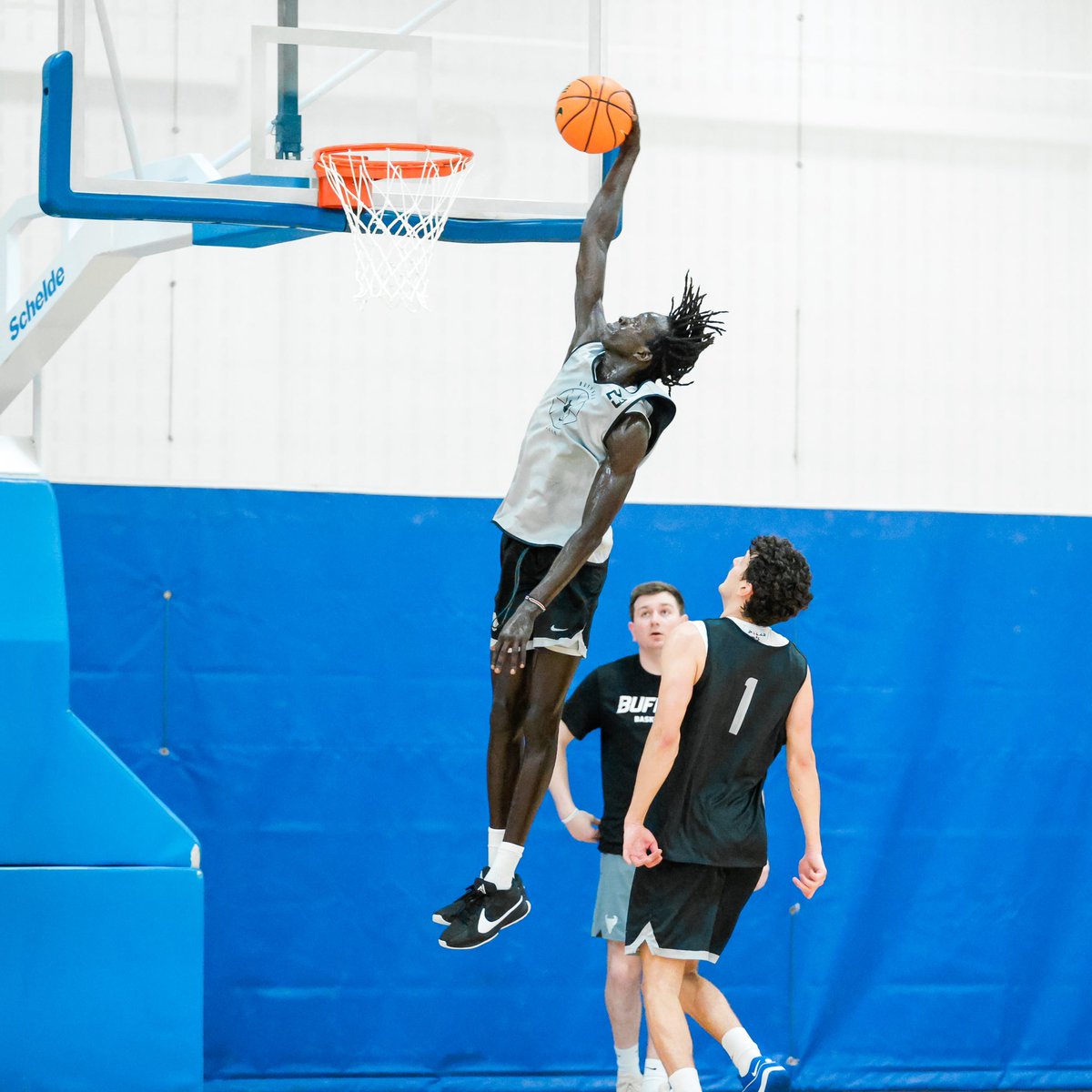 UBuffaloMBB's tweet photo. 👀 FIRST LOOK: Sam Akot
@Sam_Akot | #ALLinGRIT 🤘 https://t.co/TAm1ssLN7c