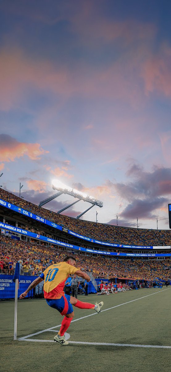 Número 9 🎩 tweet media