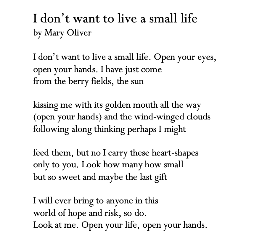this poem is so summer and very mortal. sweet, sweet, and with the urgent knowledge of all that must end. still, what is there to do but open