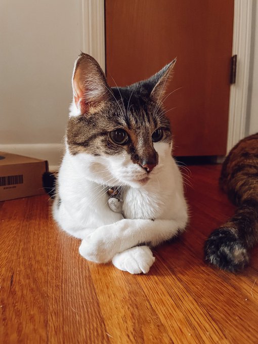 Her kidneys are failing and she has at most 2 years left. She&rsquo;s going to get the special food she needs