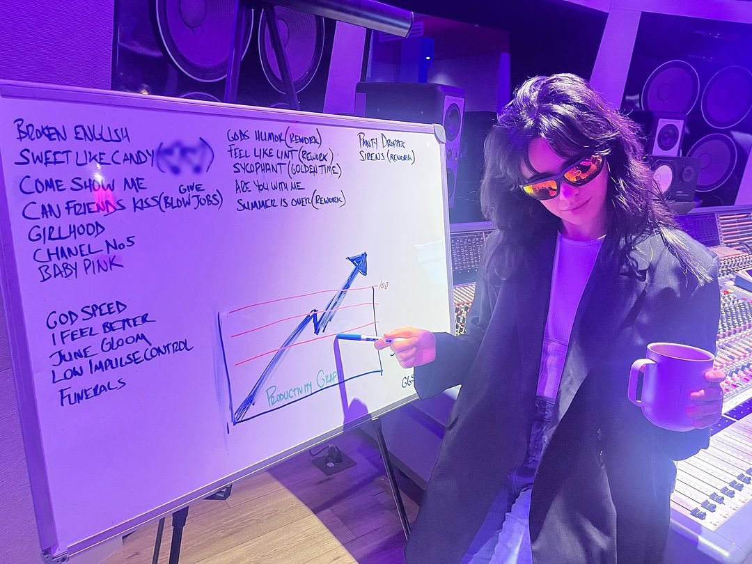 camila tweet media