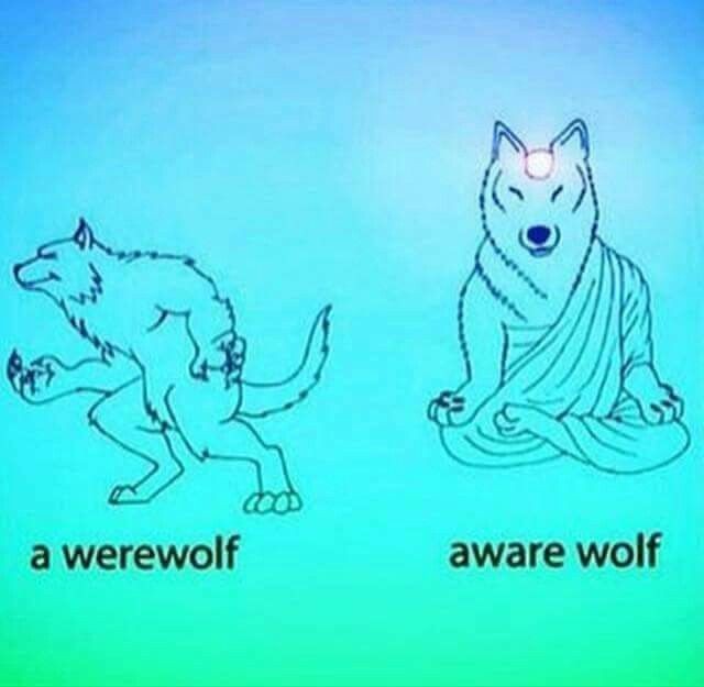 😂😂 Can One Be Both? 😉😁✨