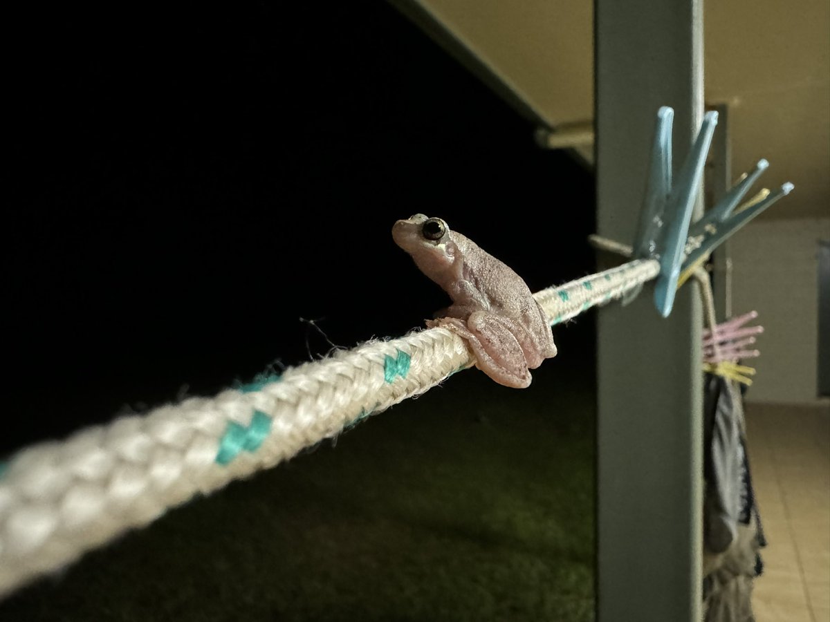 Madeleine H tweet media