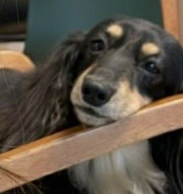 kim soyeon archive (@seojinism_) on Twitter photo 