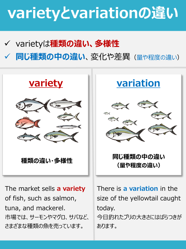 norio_TOEIC's tweet photo. 英語苦手な人が理解できてなさそうなことをまとめてみたPart46 https://t.co/VEQkd6GvBg