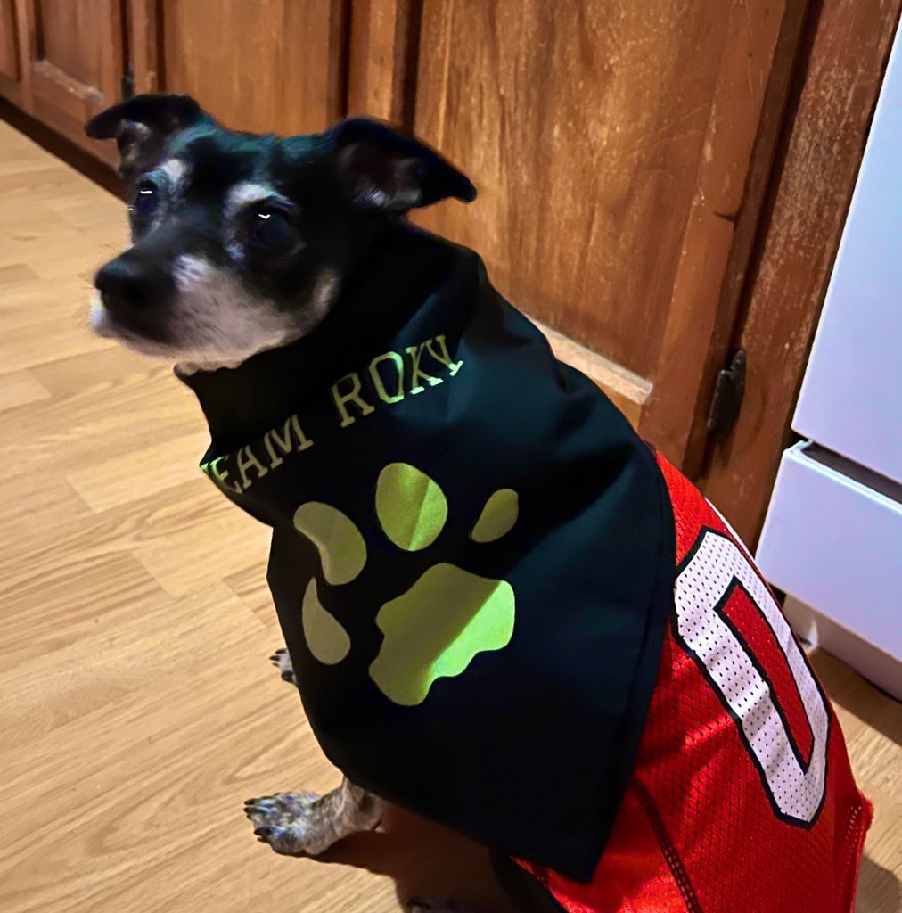 Hellerink's tweet photo. @rottenroxygirl We are #TeamRoxyForever
Miss you sweet girl and know you are forever loved๐
#GreenBeanQueen
#MayorRoxy https://t.co/G3ibO1REsZ