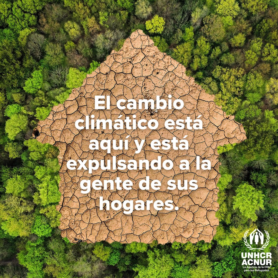 No es una ilusión.
No es un pronóstico.
No es una posibilidad.

El cambio climático es una realidad, y actuar es urgente.