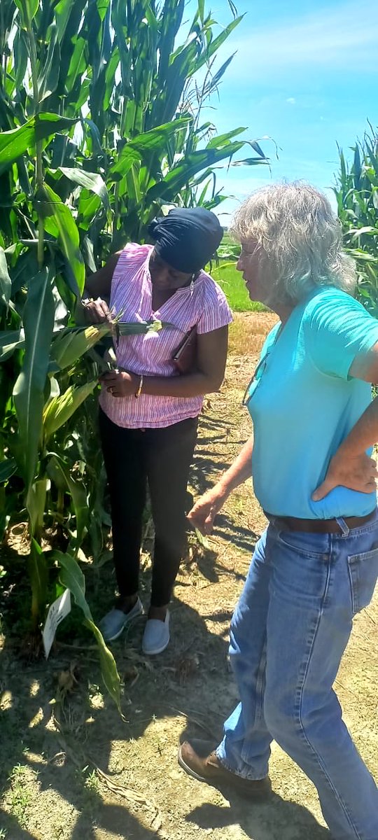dubeux's tweet photo. Thanks to our NFREC Quincy faculty for hosting our USDA Fellows from Africa today! They had a blast learning more about cropping systems and nutrient management in Florida! ⁦@UF_IFAS⁩ ⁦@UFIFASAgronomy⁩ ⁦@ufifasnfrec⁩ ⁦@nutridairy⁩ ⁦@UF_IFAS_GFSI⁩ https://t.co/nfR1qZew7v