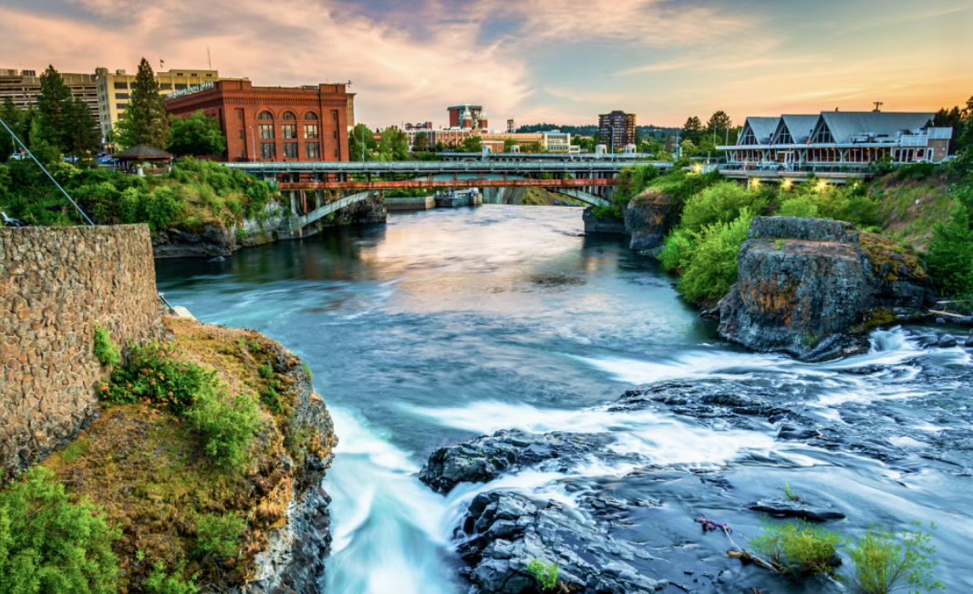 Beth Crook tweet media