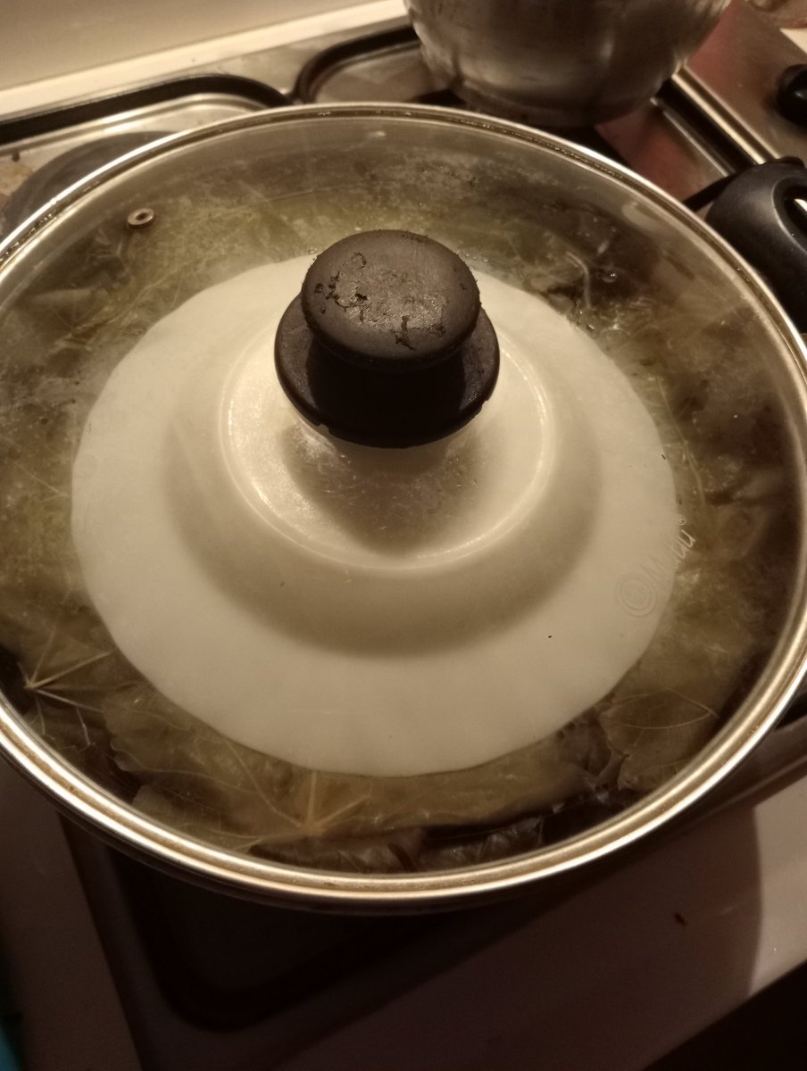 Gece gece birde yaprak sarması yapmam yok mu 🤦 #GeceyeBirNot #GeceyeBirSöz #oranje