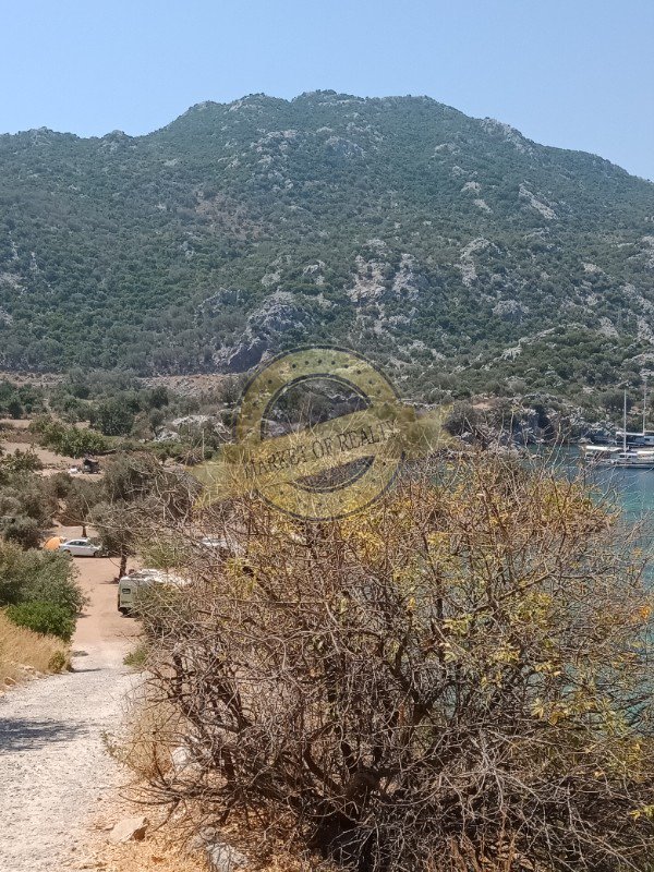 Muğla Marmaris Erler Koyu'nda, 6150 m2 arazi. 40.000.000 TL +90 545 267 0888
marketofrealty.com/dunyadaki-cenn…

#emlak #gayrimenkul #sahibinden #satılık #yatırım #arsa #arazi #ErtürkYatırım #turkey #türkiye #muğla #marmaris #ErlerKoyu #property #RealEstate #ForSale #invest #land #area