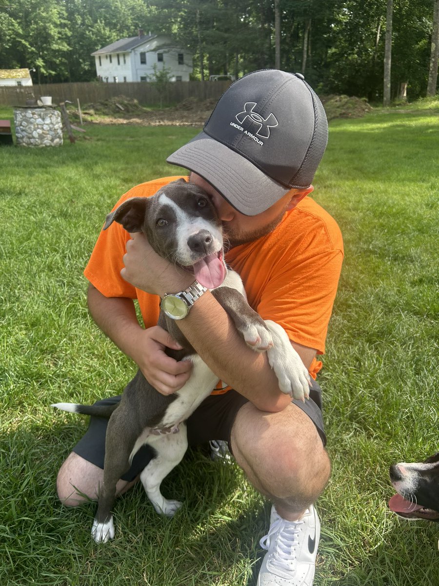 kingofcrashh's tweet photo. @stevewilldoit I just rescued this puppy named macaroni, 10k would go a long way to spoiling the little guy… https://t.co/9dzMCHlGac