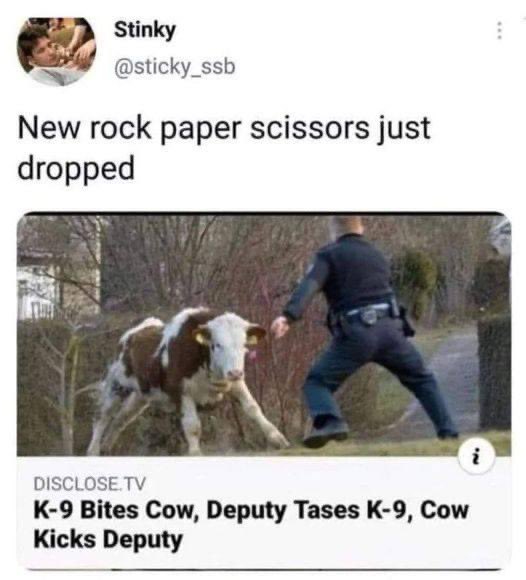 Rothmus 🏴 tweet media