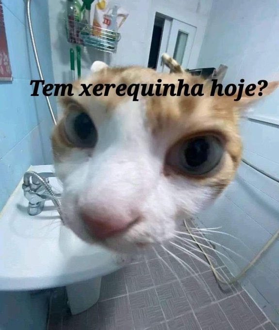 masturbe o cérebro e goze ideias (@diojodior) on Twitter photo 