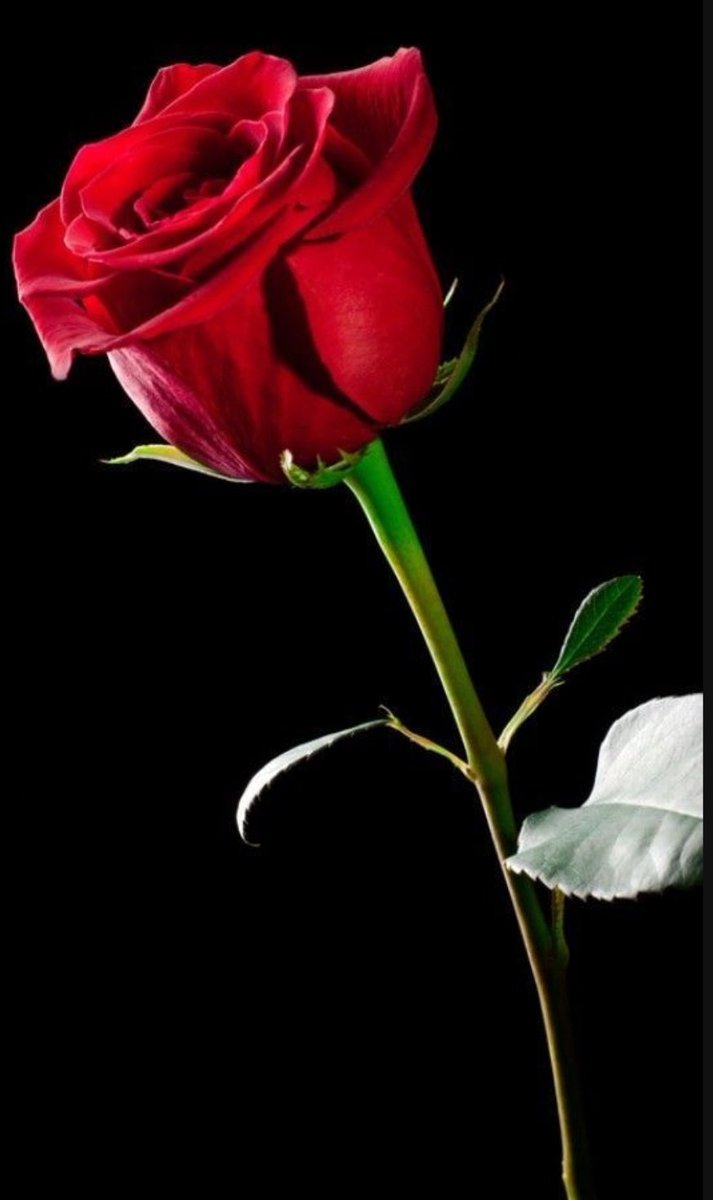 #Srebrenica 
#SrebrenitsaUnutmadık 
Aahh #Bosna  kalbimde ki derin yara..