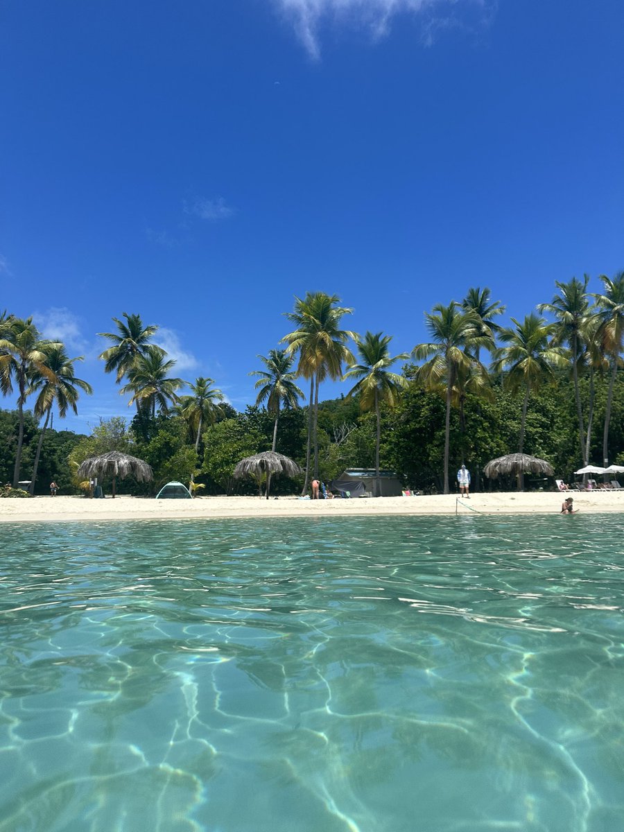 sdaviespoker's tweet image. Paradise found! 🌴 Enjoying the sun, sand, and sea with my amazing wife on Honeymoon Beach, Water Island, USVI. #USVI #Paradise