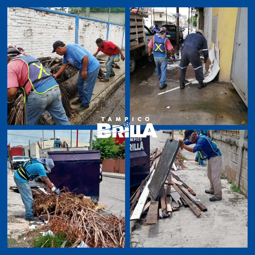 Secretaría de Servicios Públicos y Ecología tweet media