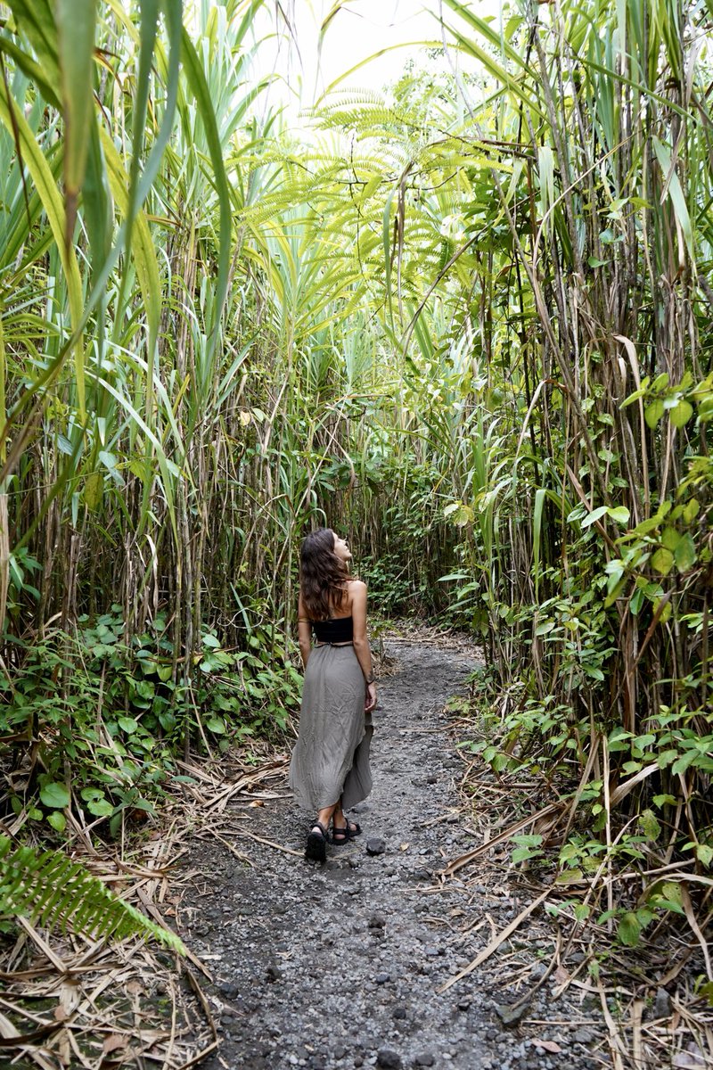 Costa Rica things 😍

~ Arenal ~