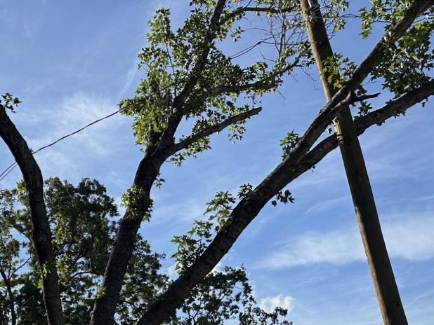 miyashay's tweet photo. I don’t know who needs to know this, but pulling a gun on a hard working lineman will not help you get your power restored sooner. 🤦🏻‍♀️🤦🏻‍♀️ https://t.co/YKF6gvFQk2