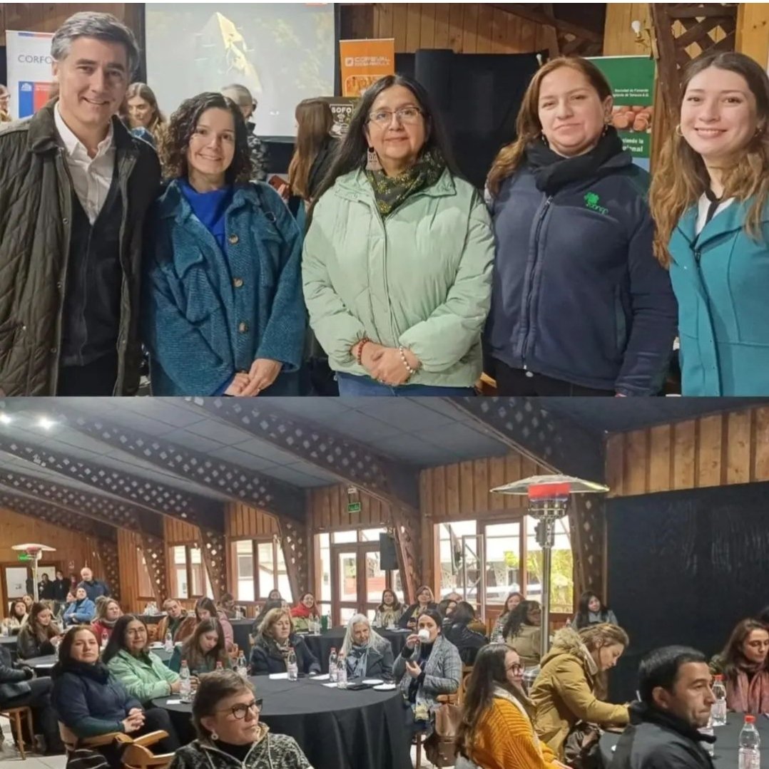 conaf_araucania's tweet photo. 🟣 Directora María Teresa Huentequeo junto a su equipo participa del Seminario "Mujeres del Agro ", liderado por #Amagro y apoyado por #Corfo, junto a sus socios estratégicos #IniaAraucania y #Sofo entre otras instituciones
🌿 https://t.co/xCDZkqsFze