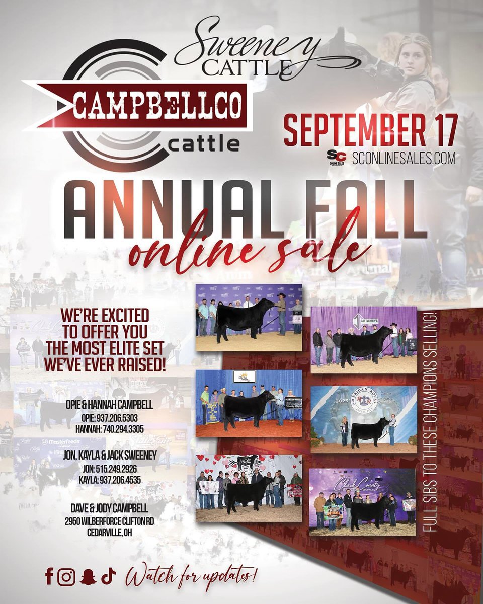 Sara MacRae tweet media