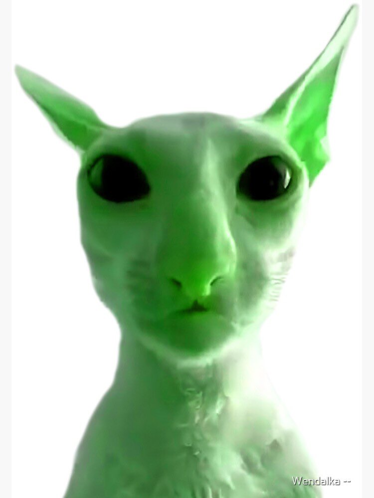 Tweeks ❗️ tweet media