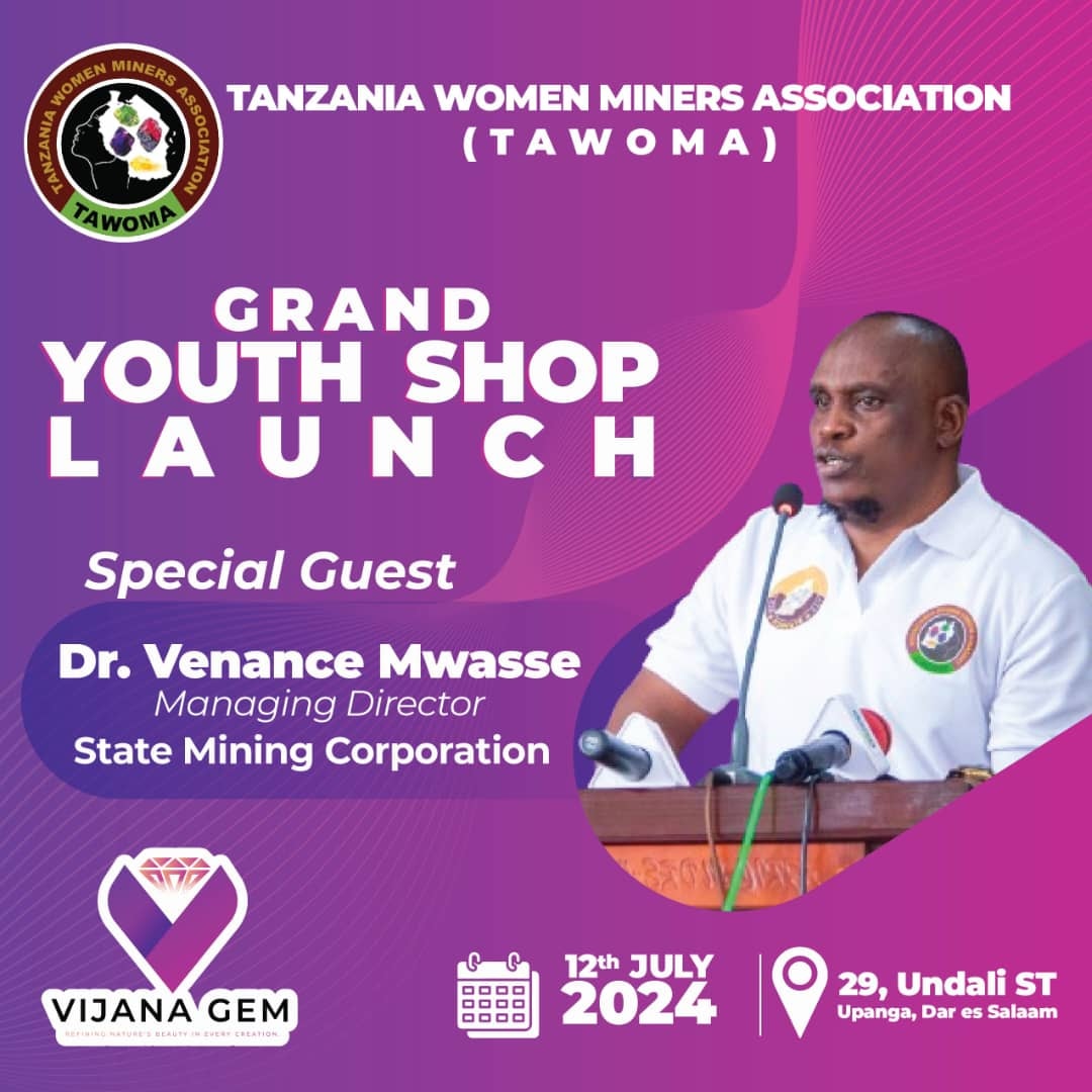 Tanzania Women Miners Association tweet media