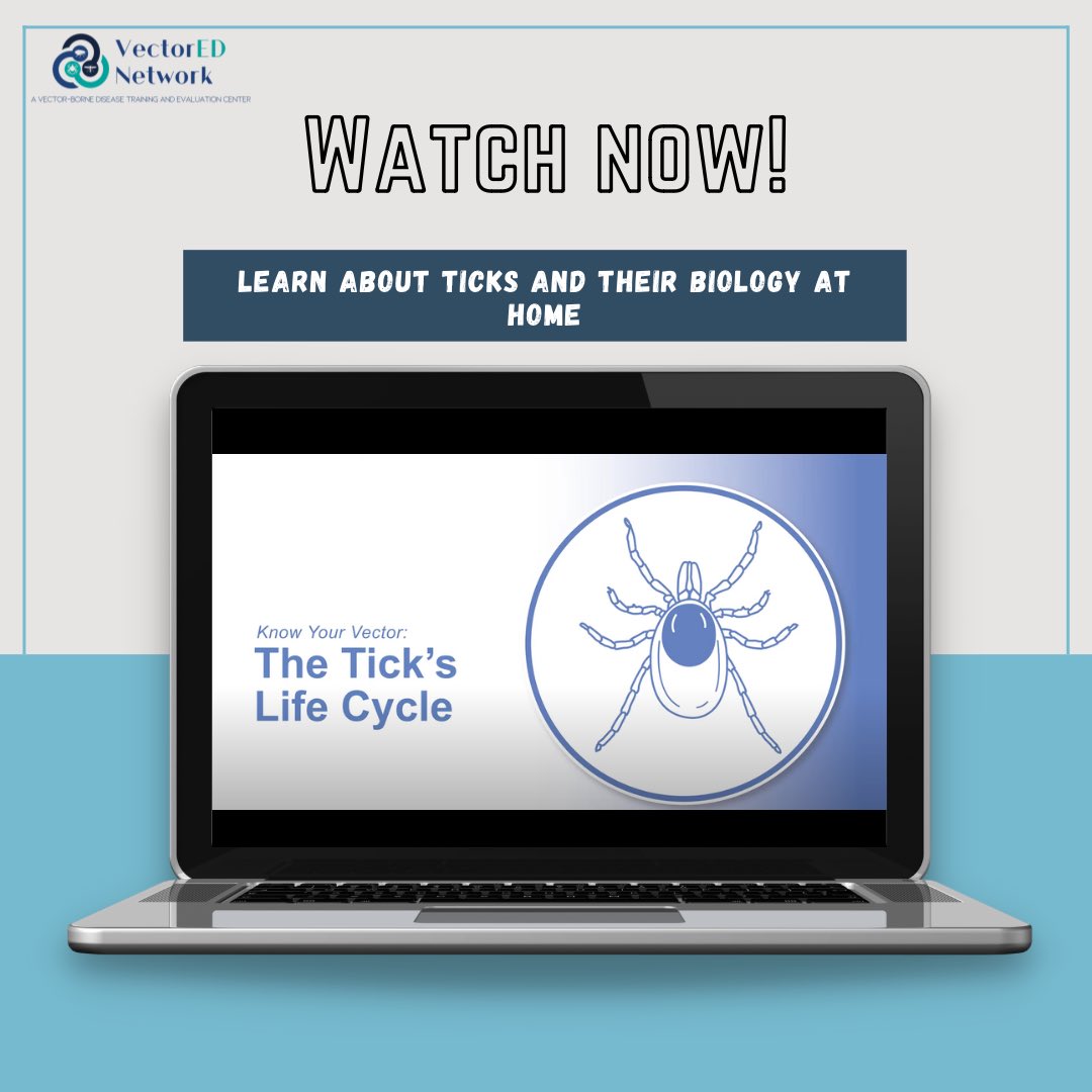 VectorEDNetwork's tweet photo. Check out the Penn State Extension video series to discover the various ticks found in Pennsylvania and their biology. https://t.co/YOb4i1iY0s
Join the conversation: #lymediseaseawareness #lymedisease #ticktip #tickprevention #vectorednetwork https://t.co/d6xbayRexg