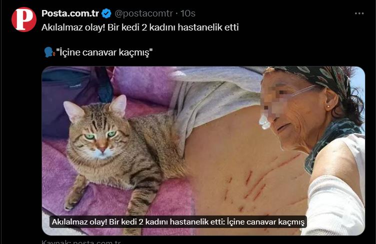 KraCrn's tweet photo. Bugün bu iki haberin arka arkaya servis edilmesi tesadüf değil. Köpek konusu istedikleri gibi sonuçlanırsa sıra kedilere gelecek. (demiştik zaten bunu) Herşey Marquez'in Kırmızı Pazartesi kitabında ki gibi oluyor. O kadar göz önünde, o kadar açık. Konu ''kedi'', konu ''köpek '' değil. Kontrolünüzden çıkan bir grup var kendi elinizle oluşturduğunuz ve artık çok tehlikeli olmaya başladılar. Bunu durdurabilmek için yapılması gereken şey belli #YasayıGeriÇek