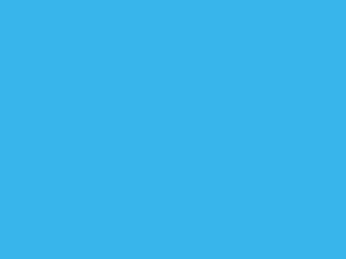 ChaotArtsStudio's tweet photo. Hopping on the trend. What do these colors remind you of? https://t.co/XTEjTs4JUC