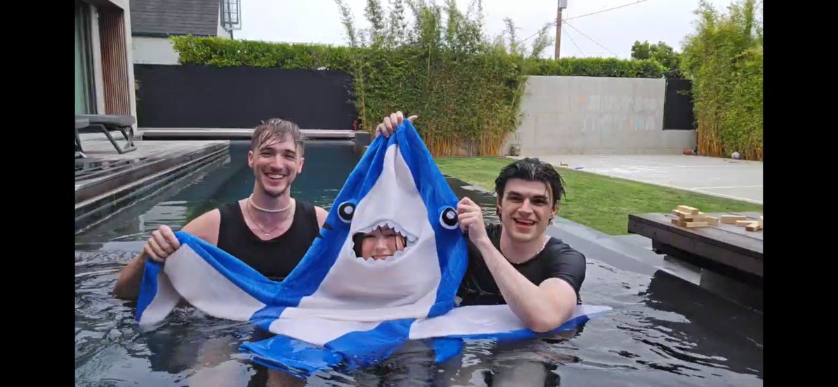 yourfavduck_'s tweet photo. SHARK WEEK  WOOO https://t.co/XOJ9cVAwgR
