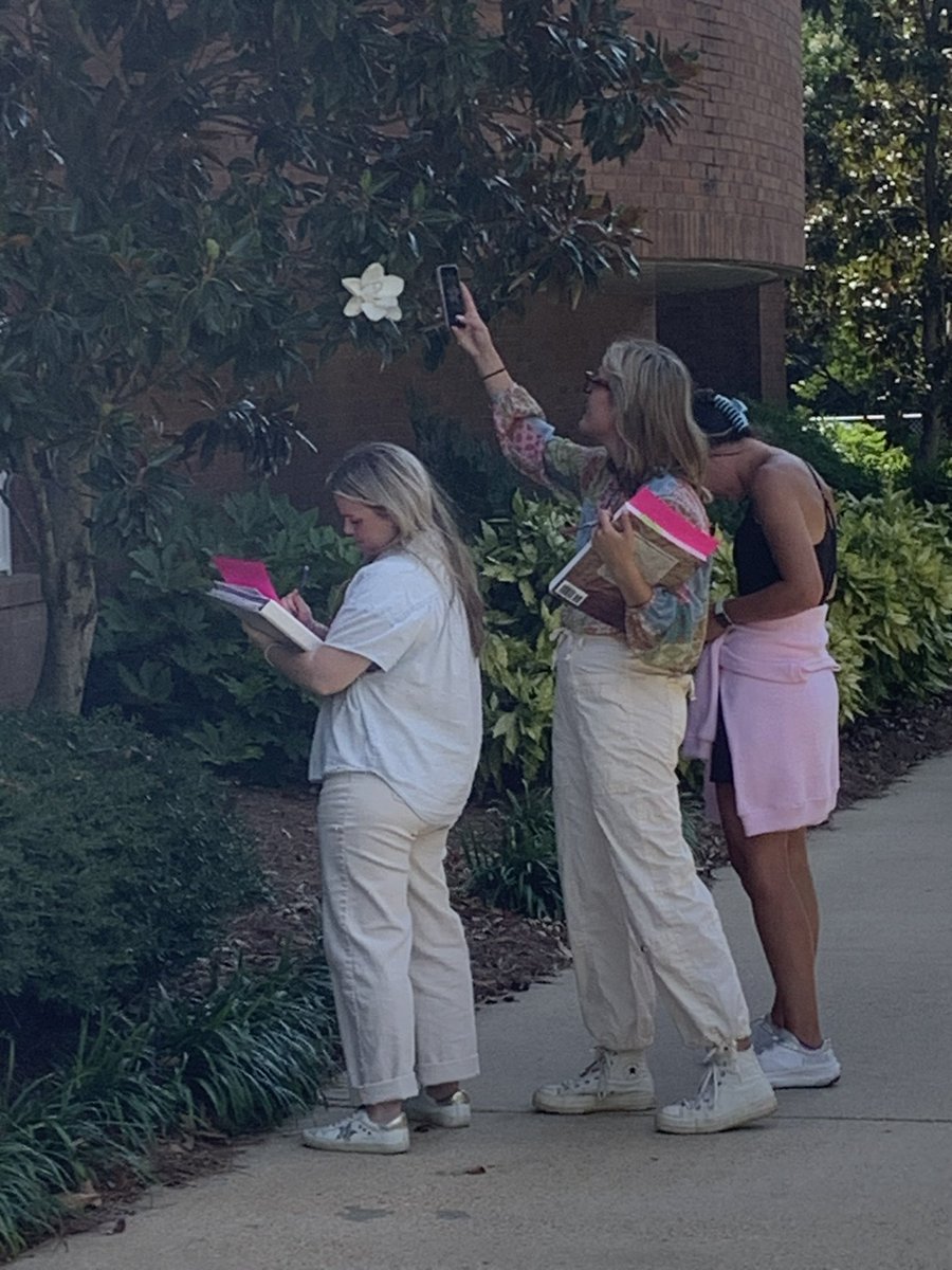 MSU Elementary Education tweet media