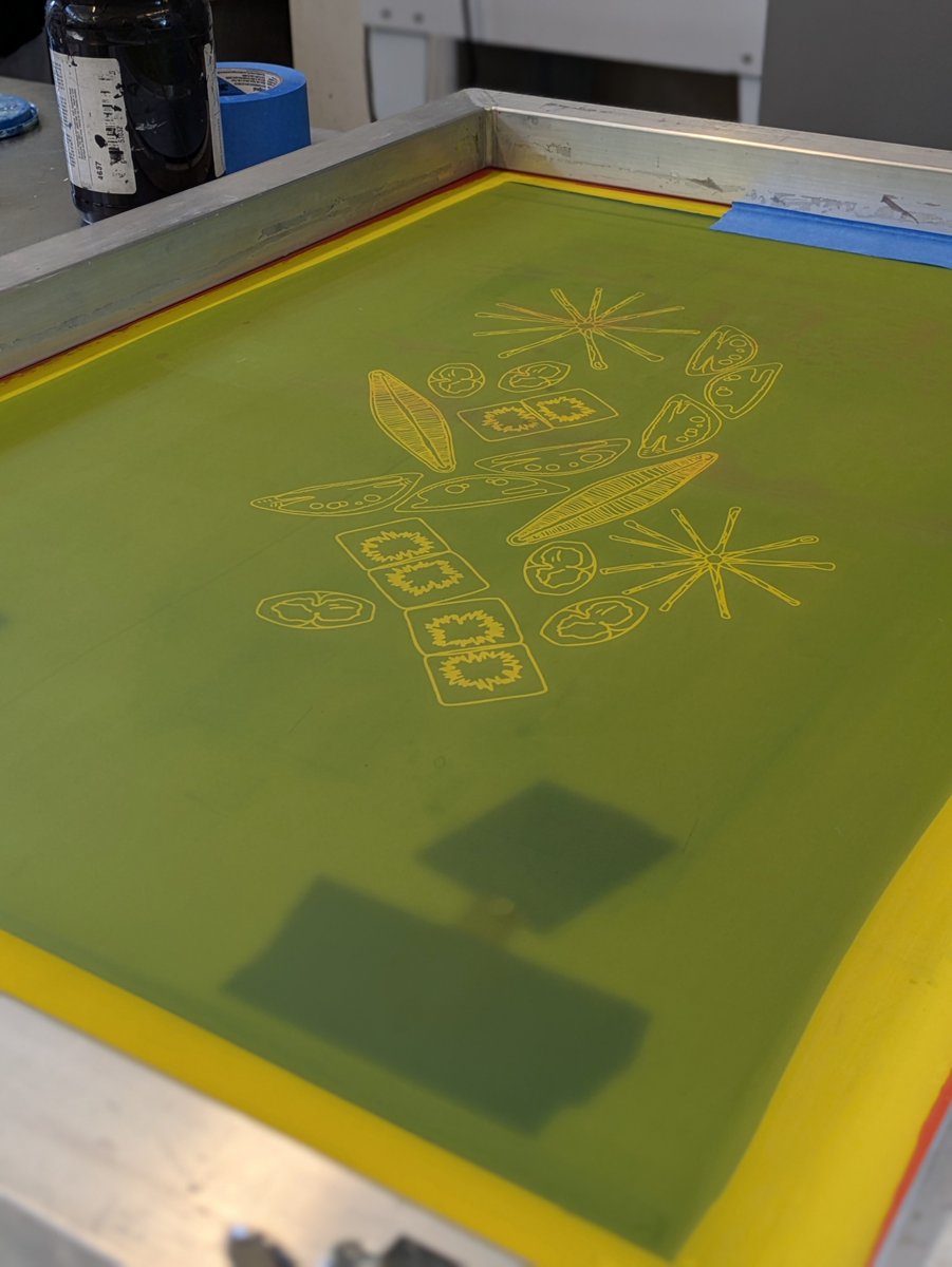 EcoStoich_Cooperative106161 tweet media