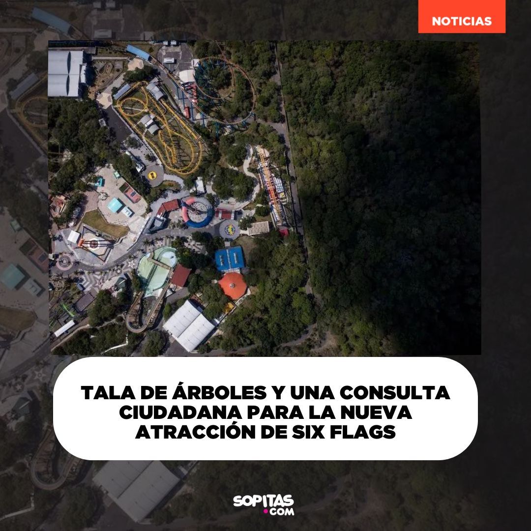 sopitas's tweet photo. Six Flags México quiere construir una nueva atracción al sur de la CDMX, por lo que planea talar más de 150 árboles. Hasta el momento el gobierno capitalino no ha autorizado ningún proyecto del parque de diversiones. ¿Ustedes que opinan? https://t.co/2UrrTvChBj https://t.co/eUhT49sksS