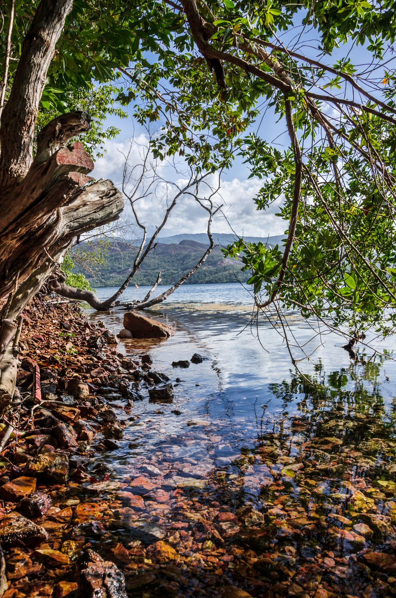 tineophoto's tweet photo. Una fotografía muy vieja de cuando empezaba en la fotografía. 

Golfo de Santa Fe, Parque Nacional #Mochima.

@tineophoto https://t.co/bN6AEwr3JZ