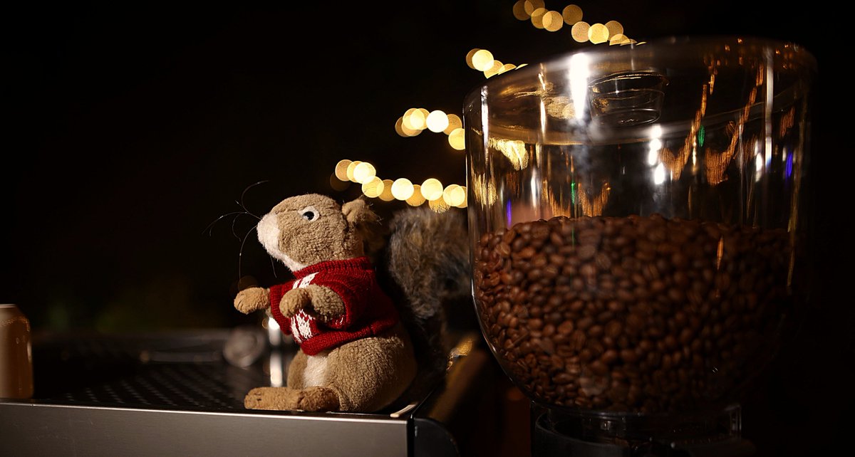 TheGeekSquirrel's tweet photo. Pásele al squirrel-café ☕🐿️ https://t.co/NCUBAOagIv