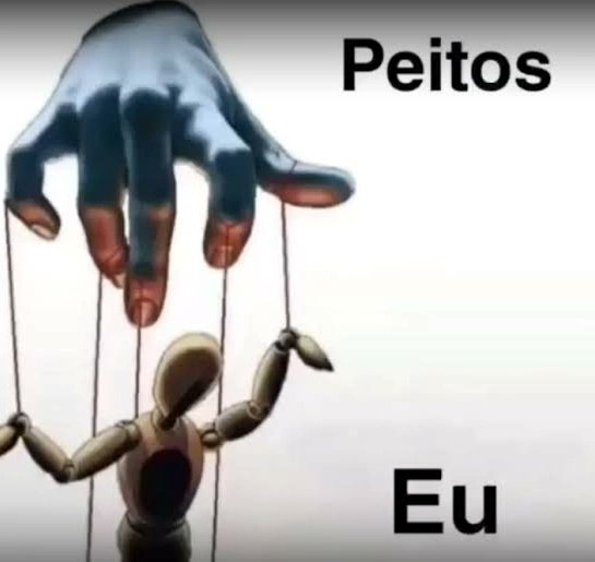 perfil dedicado a gatinhos e peitos (@odeiootaco) on Twitter photo 