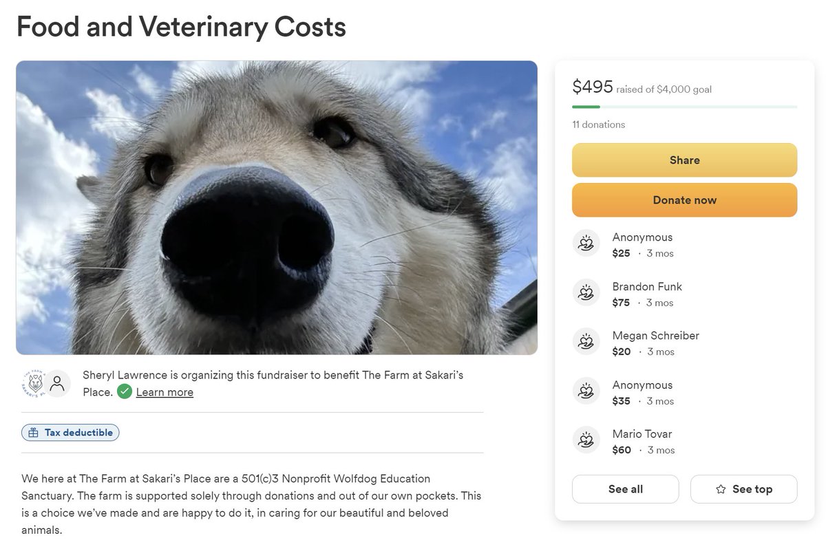 piperfixation's tweet photo. do YOU love that one stupid stretched out wolf? has this sweetbeast (her name is Sasha) made you smile in the slightest? laugh?? grin, even?????

well i just found out that the wolfdog sanctuary she lives at -- The Farm at Sakari's Place in New Hampshire -- needs our help,,,,, 🧵 https://t.co/q5TiKI6gzZ