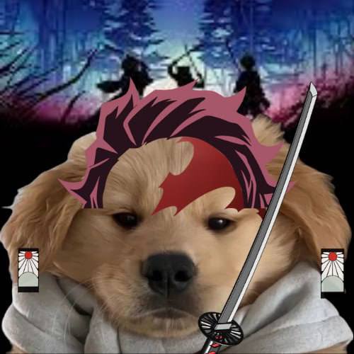 YujiroHan tweet media