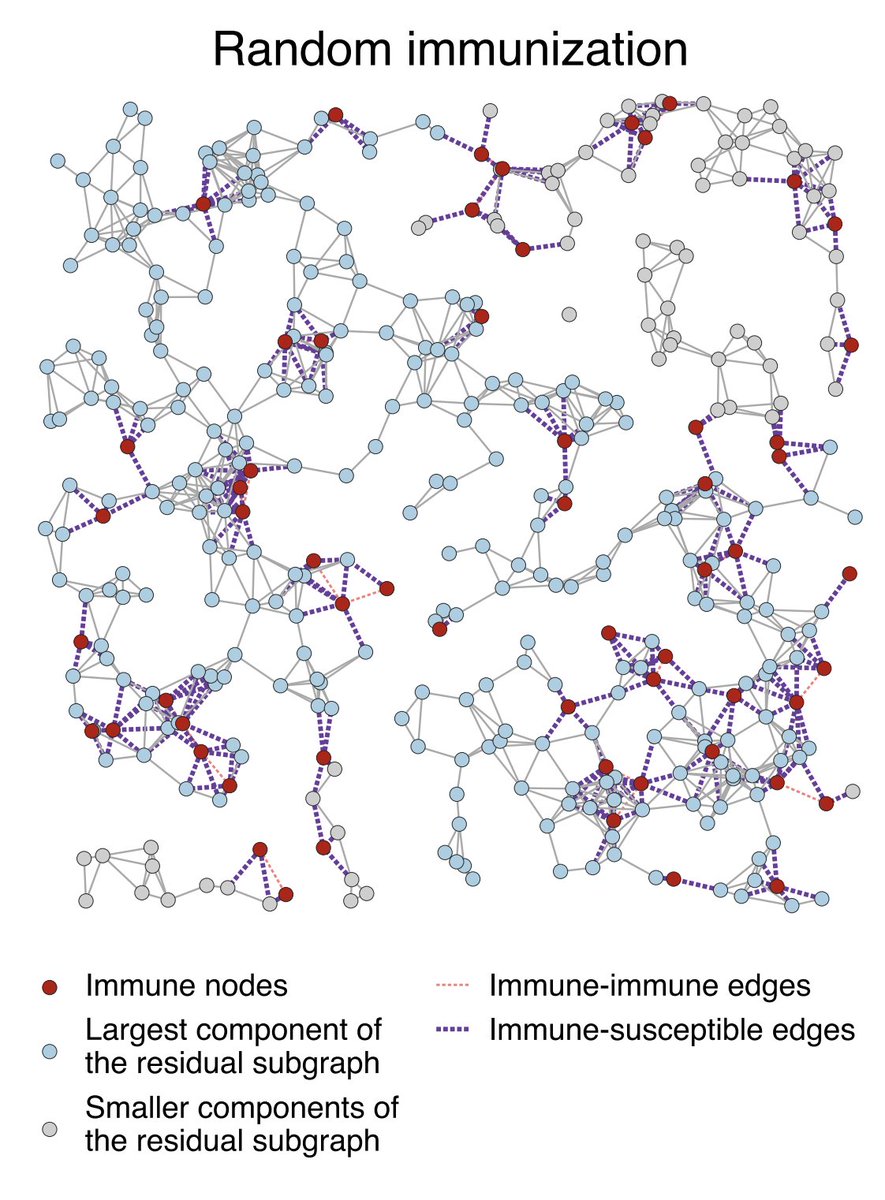 Abbas K. Rizi tweet media