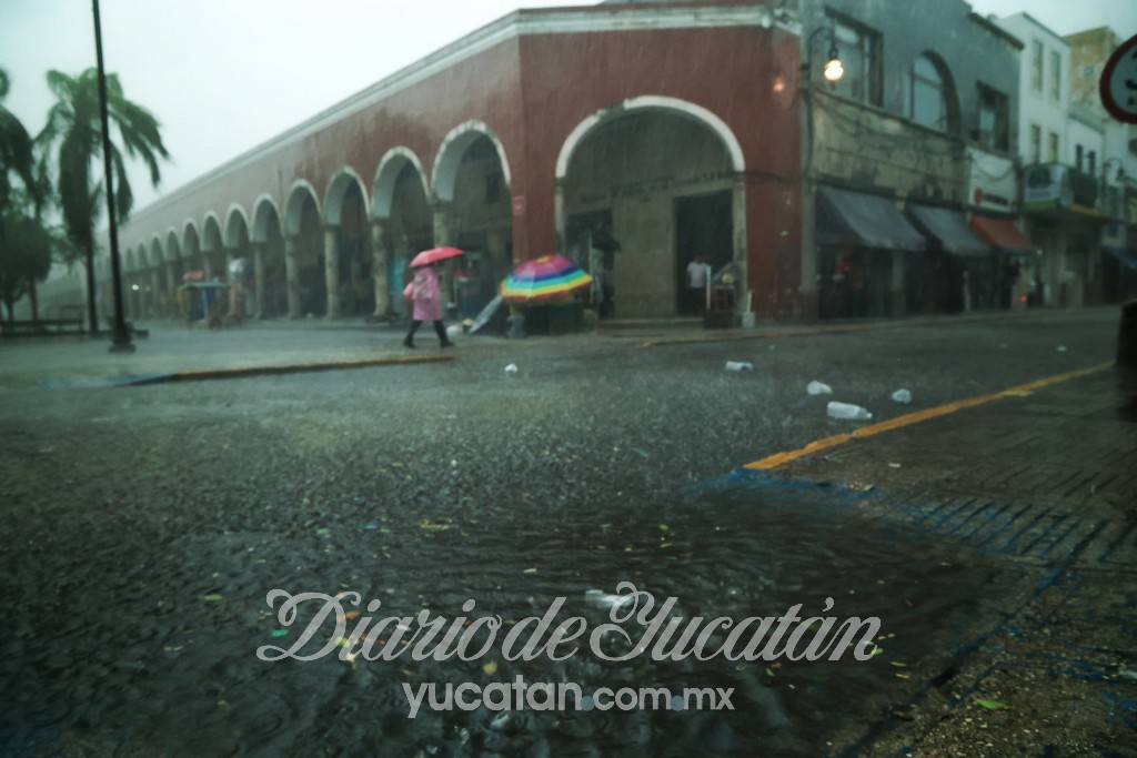 DiariodeYucatan's tweet image. #DYinforma La onda tropical número 9 generó fuertes lluvias en el centro de #Mérida. ⚠️🌧️
