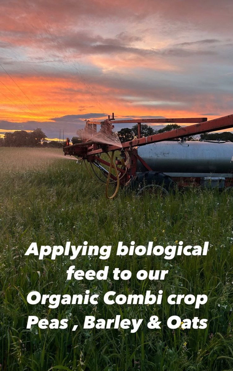 <a href="/KnocknatullaF/">Knocknatulla Farms</a>  Applying biological feed on to our Combi crop of Peas , Barley &amp; Oats 🌾 <a href="/KnocknatullaF/">Knocknatulla Farms</a> #organic #biodynamic  #biodynamicagriculture #irishorganicassociation #irishorganicfarming #demeter