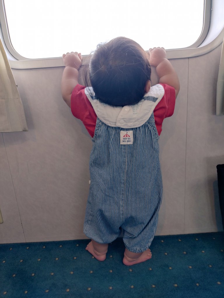 ちっこくてお外見えない