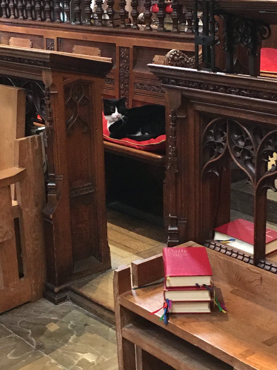 Honoured to meet you ⁦<a href="/HodgeTheCat/">Hodge</a>⁩  …found presiding over evening prayer  ⁦<a href="/Southwarkcathed/">Southwark Cathedral</a>⁩