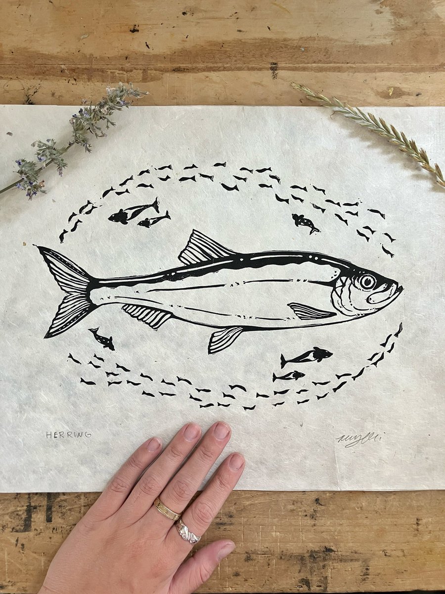 Rosemary Connelli tweet media