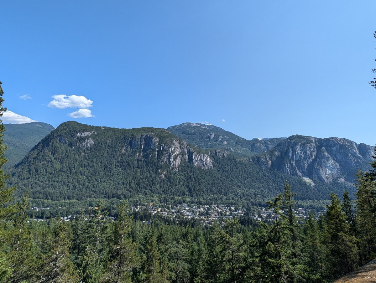 Since I converted my crypto to Bitcoin, stopped posting regularly on Twitter, and got outside daily, my life has dramatically improved.