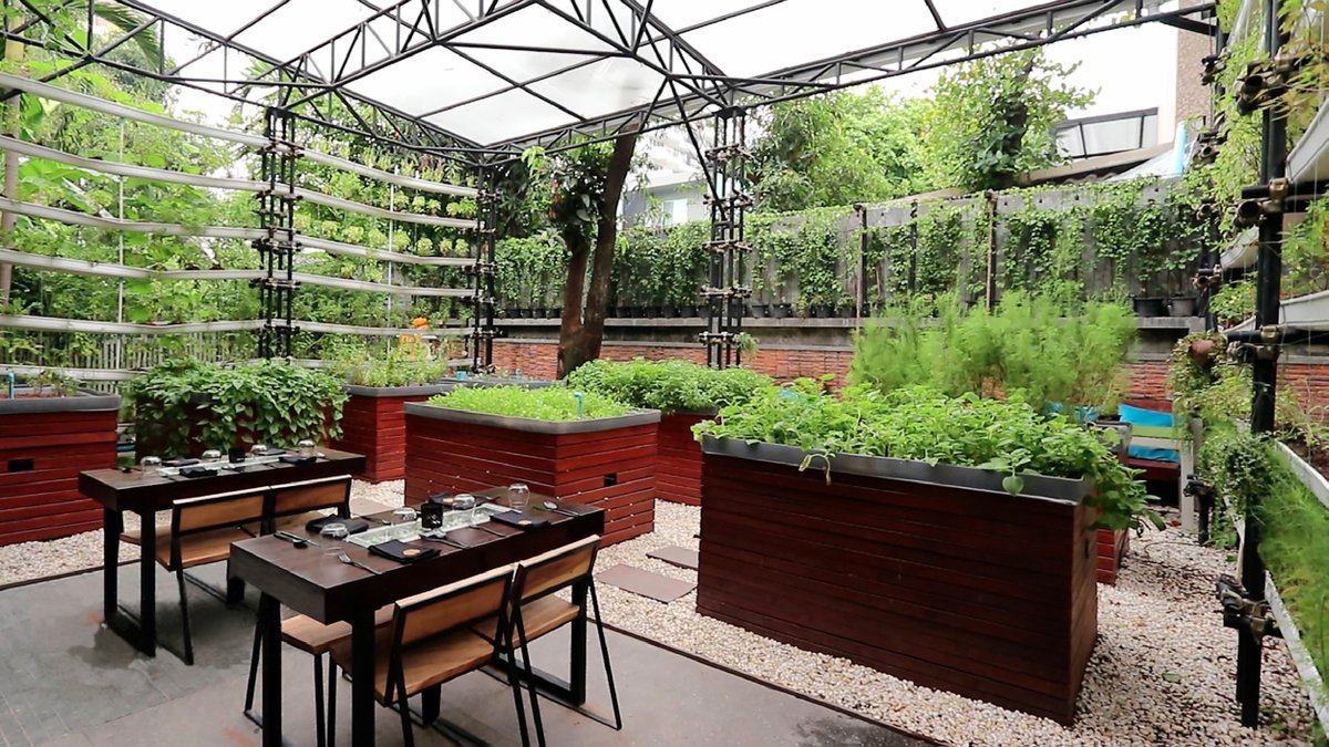 As the temperatures rise, let's keep our commitment to a healthier planet! Here are some ways restaurants can stay sustainable during the hot summer months:

evanesce.com/2024/07/11/sus…

#SustainableRestaurants #SummerSustainability #Compostable #GreenDining #EnvironmentalImpact