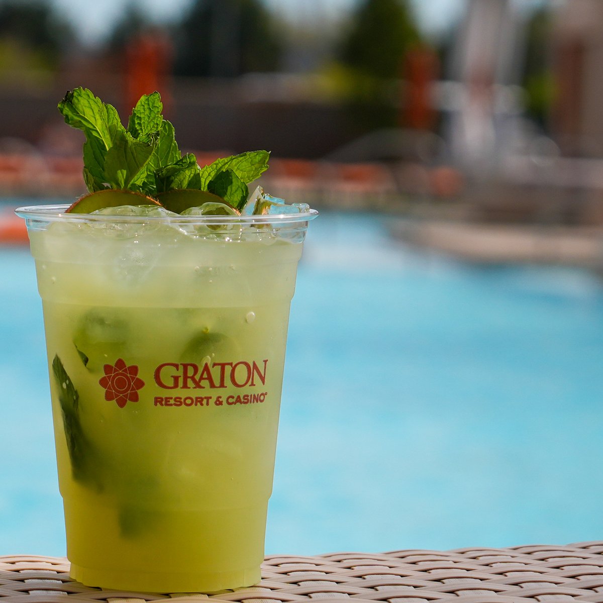 playgraton's tweet photo. Mojito Day? More like Moji-TODAY!
Kick back and relax poolside with a mojito at Graton today!
#mojito #mojitoday #cocktail #poolside #graton https://t.co/WwKk4HN9Jo