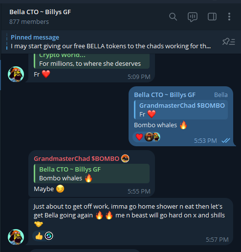 RealBellaCTO's tweet photo. Do you love  @billycoinsolana ? 

They grab a bag of his lover $BELLA

3 Weeks old and community is growing every day, 

https://t.co/RZoEk8mvLf https://t.co/IIdGcQ1QUx